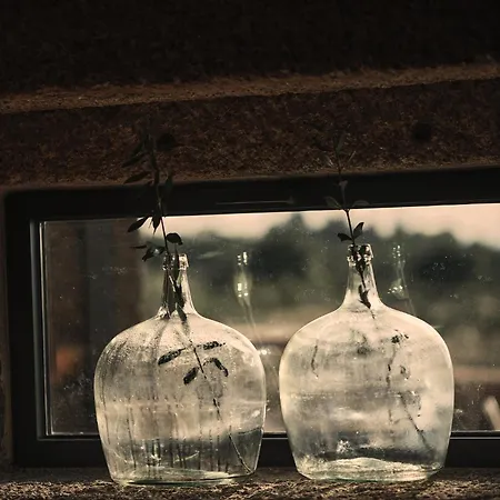 Casa de Campo Bode *