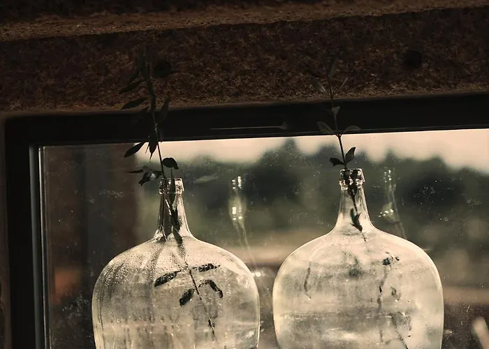 Country house Bode *